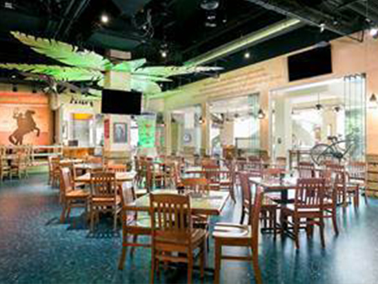 The Lagoon Interior with wooden chairs and tables